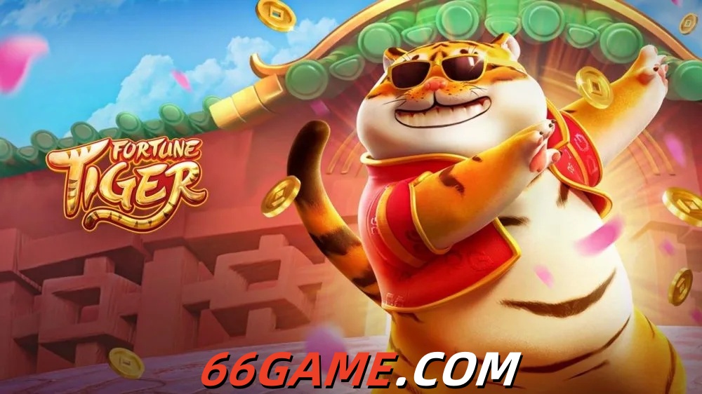  66game